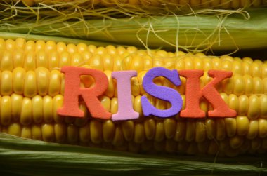 bir arka plan üzerinde kelime risk