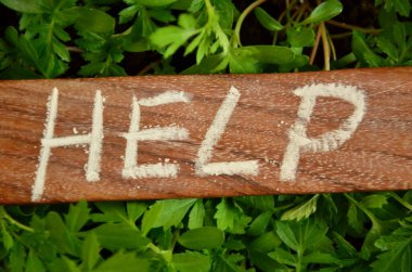 Soyut ahşap arkaplan üzerine yazılmış yardım sözcüğü