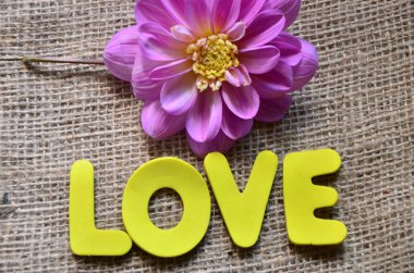 Ahşap arka plan üzerinde kelimesini seviyorum