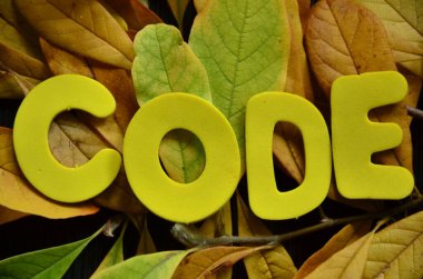 bir arka plan üzerinde kelime şifre