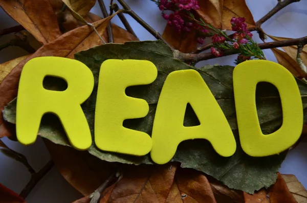 soyut metin üzerine metin