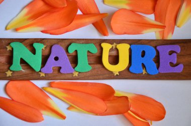 Renkli bir arkaplan için doğal bir kelime. Doğal kavram.