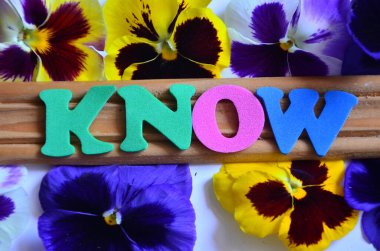 İlham veren metinler sizi tanıyor. Bilgileri renkli fikirlerle, ilham çiçekleriyle ve çiçeklerle oynayan birinin bilgisine karşılık gelen bir kelime.