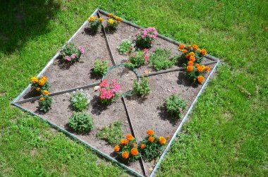 Bahçedeki çiçekler