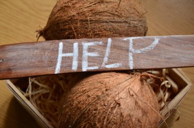 Soyut olarak kelime yardımı