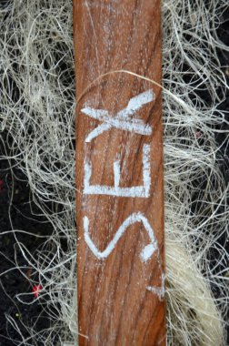 kelime aşk soyut üzerinde