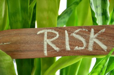the word risk written in wooden blocks on green background.