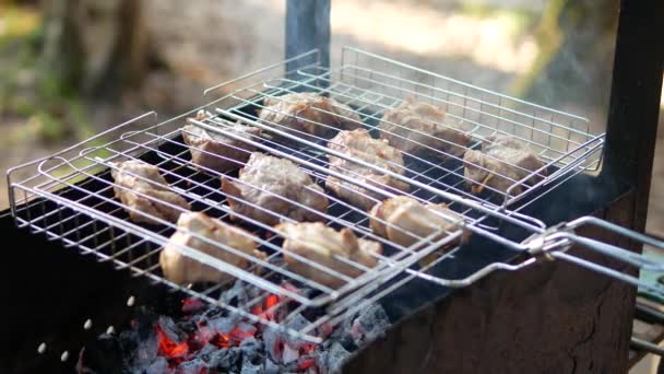 Barbecue op de grill — Stockvideo