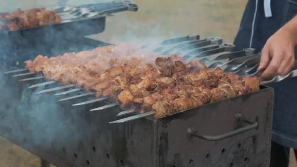 Barbecue op de grill — Stockvideo