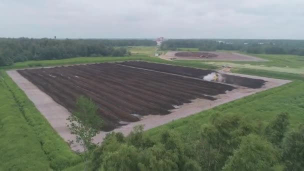 Campo com excrementos de aves — Vídeo de Stock