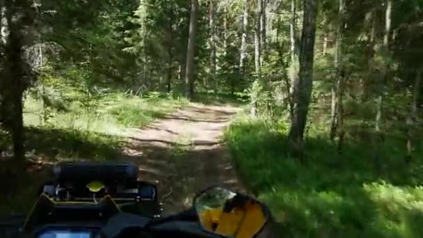 Quad bike riding through the forest — Stock Video