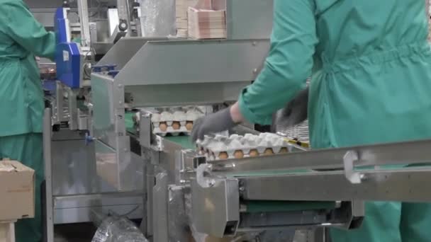 Product on the conveyor — Stock Video