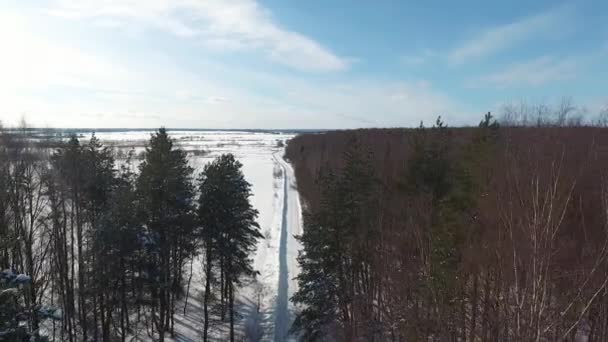Аэрофотосъёмка зимних лесов — стоковое видео