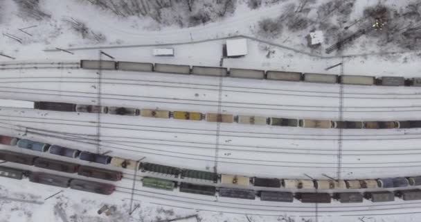 Um comboio de mercadorias chega à estação — Vídeo de Stock