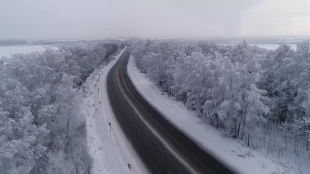 Estrada através da floresta de inverno — Vídeo de Stock