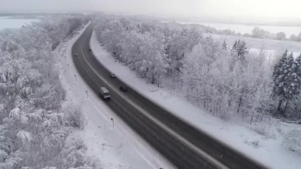 Route door het bos — Stockvideo