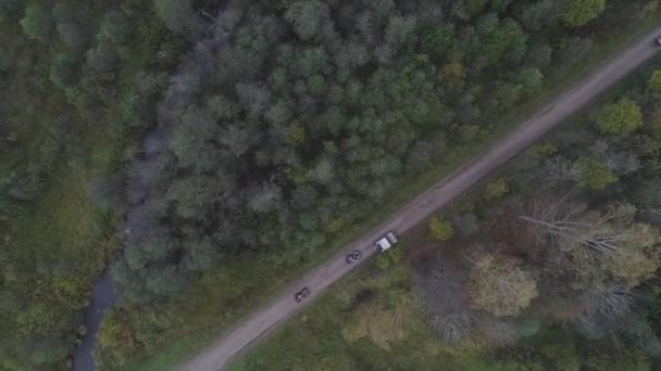 SUVs van a través del bosque — Vídeo de stock