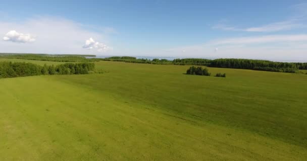 Smooth field summer day — Stock Video