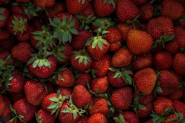 Çilekli. Taze organik böğürtlen makrosu. Meyve arkaplanı