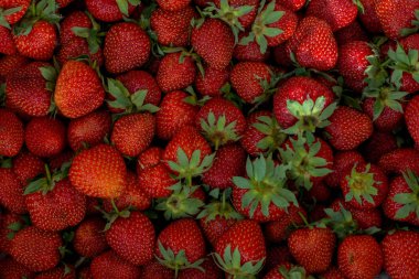 Çilekli. Taze organik böğürtlen makrosu. Meyve arkaplanı