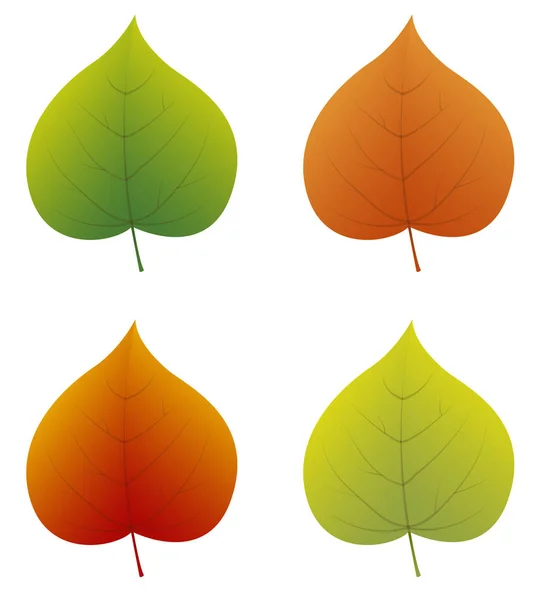 Feuilles Tilleul Colorées Isolées Sur Fond Blanc Vecteur — Image vectorielle