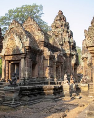 Kamboçya, Seay Banteay - Mart 2016 - ornately oyma 10 yüzyıla, kırmızı kum taşı, Hindu tanrısı Shiva, adanmış tapınak restore edilmiş kalıntıları erken sabah ışık boğulmuş