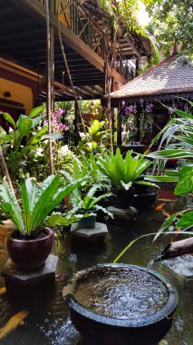 Kamboçya, Phnom Phen - Mart 2016: Geleneksel su bahçe Kamboçya bir ev. Su büyük bir yapraklı bitkiler serin, gölge ve hareket vermek için kullanılır.