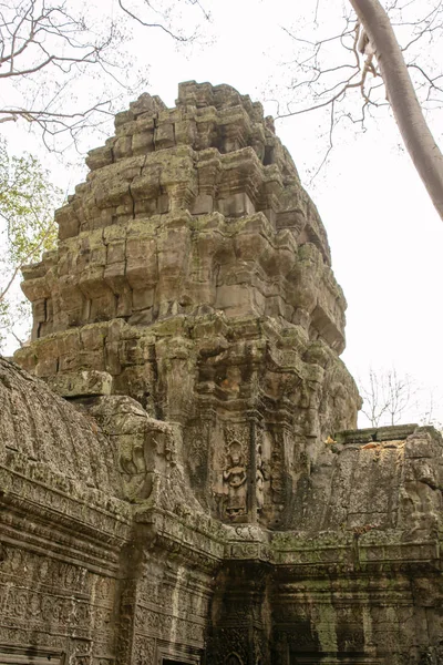 Camboya Phrom Marzo 2018 Templo Está Parcialmente Recuperado Selva Muchas — Foto de Stock