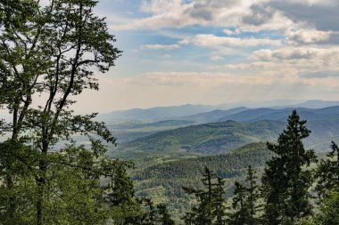 Alsace ormanları arasında görüntüle