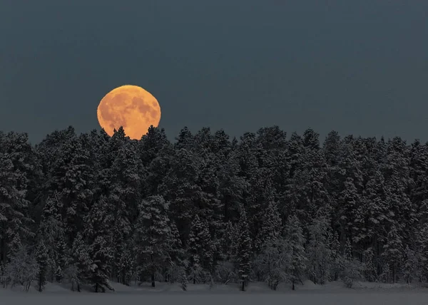 Měsíční měsíc visí na obloze nad stromy v zasněženém, zimě, zemích — Stock fotografie