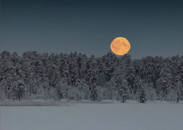 Měsíční měsíc visí na obloze nad stromy v zasněženém, zimě, zemích — Stock fotografie