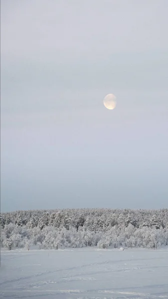 Luna de luz del día, en el cielo de la mañana se levanta sobre el lago congelado — Foto de Stock
