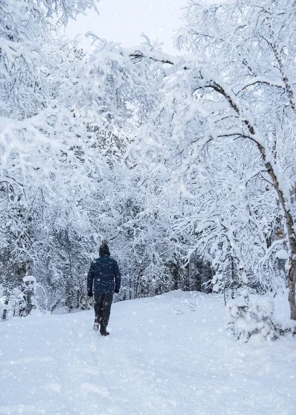 Člověk, který kráčí po lesních stopách v zasněženém počasí — Stock fotografie