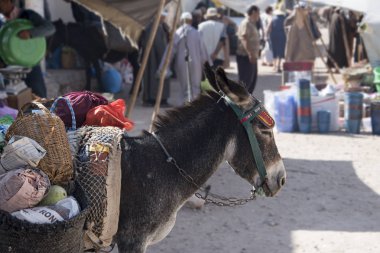 Ağır yüklü eşek