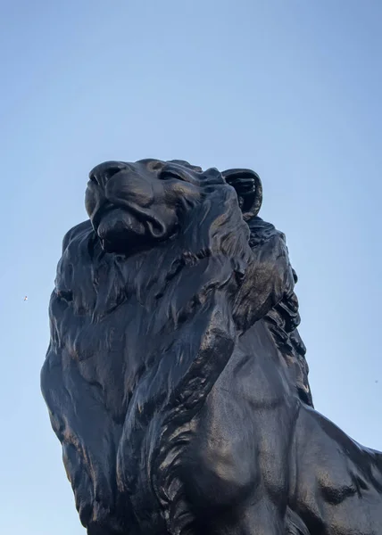 León en la base de Columna de Colón . — Foto de Stock