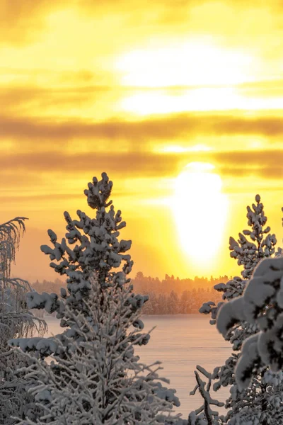 Fiery yellow sunset — Stock Photo, Image