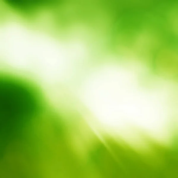 Zonnige Abstracte Groene Natuur Achtergrond Verse Aard — Stockfoto