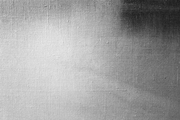 Toile Grise Fond Texture Pour Peinture Art Dessin Motif Texture — Photo