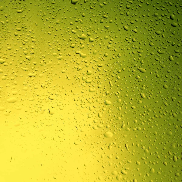 Water druppels op groene achtergrond. — Stockfoto