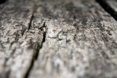 Eski Ahşap Doku / Ahşap Doku. 