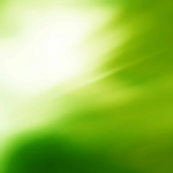 Zonnige abstracte groene natuur achtergrond. Verse aard. — Stockfoto
