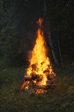Birning kamp ateşi. Yüksek alev.