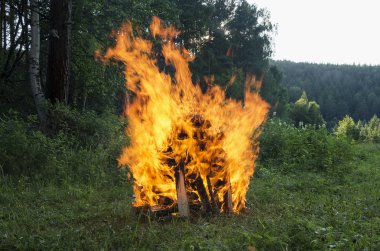 Birning kamp ateşi. Yüksek alev.