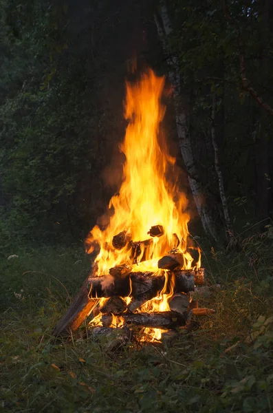 Birning kamp ateşi. Yüksek alev.