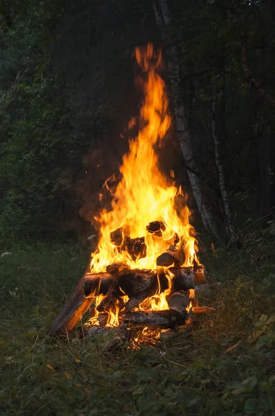 Birning kamp ateşi. Yüksek alev.