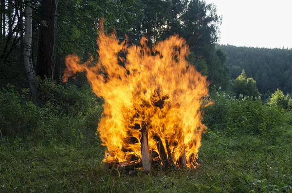 Birning kamp ateşi. Yüksek alev.