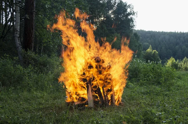 Birning kamp ateşi. Yüksek alev.