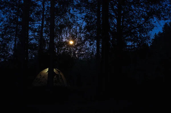 野营帐篷在月光下 — 图库照片
