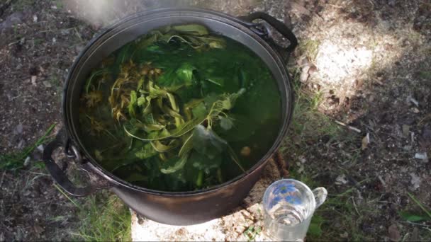 Pouring Herbal Tea Mug Shots — Stock Video