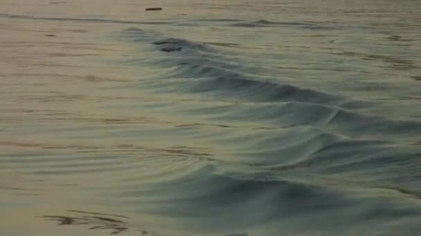 Κύματα Από Την Πρύμνη Του Σκάφους — Αρχείο Βίντεο